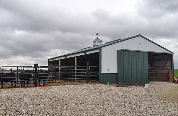 Farm Barns & Horse